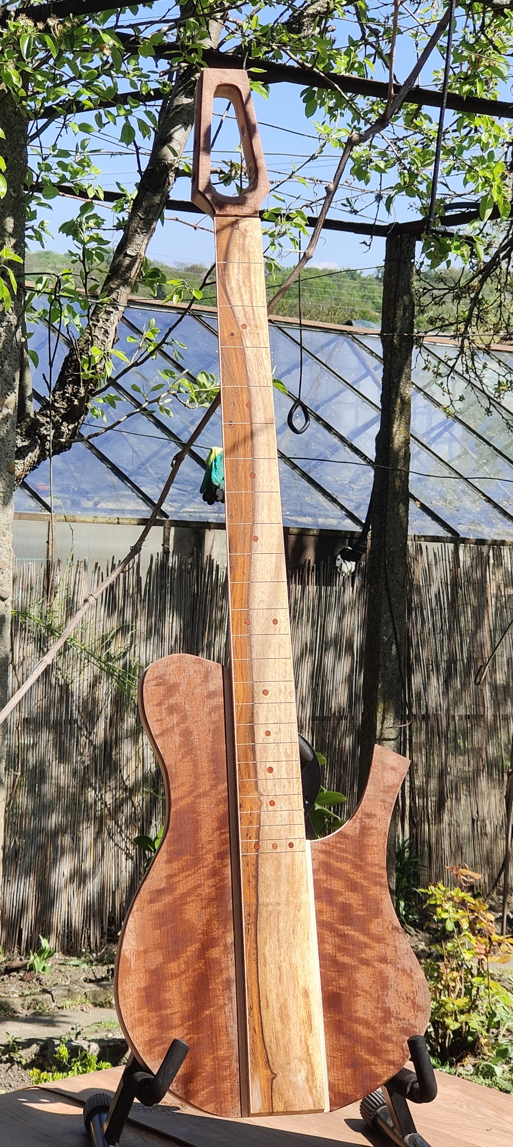 Ginger Fretless Bass 3