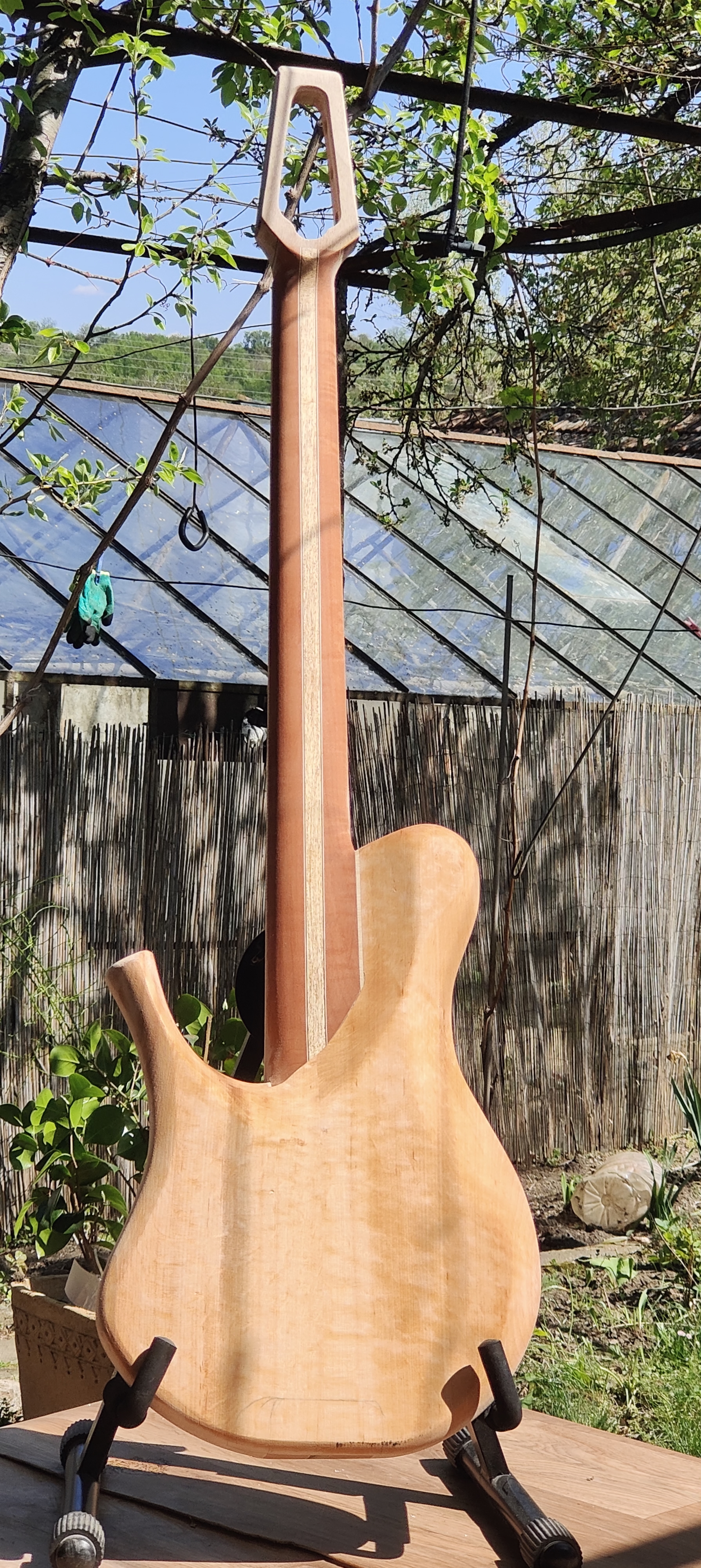 Ginger Fretless Bass 4