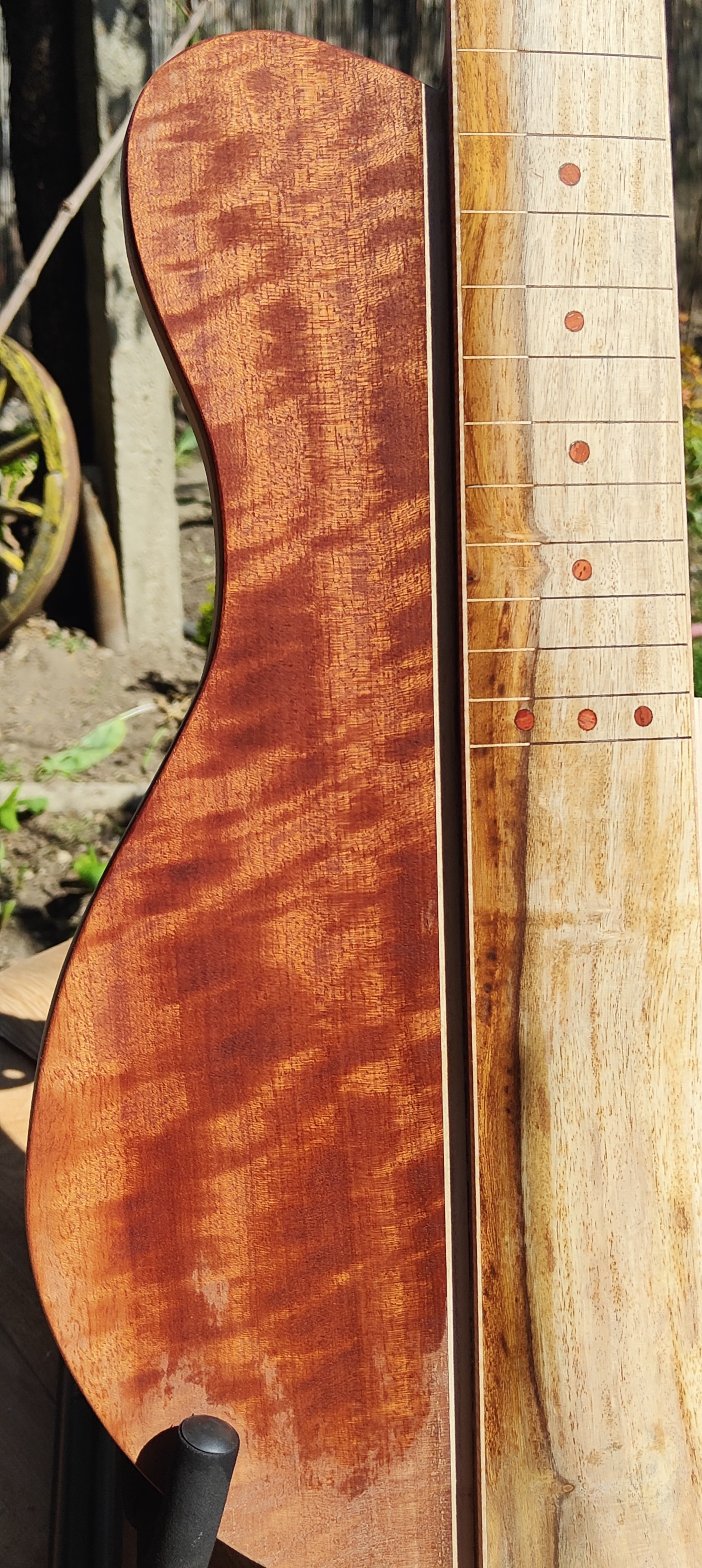Ginger Fretless Bass 5